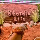 ProRep Beardie Life Substrate 10L Beardie Life Substrate Mixed Desert Substrate view 2