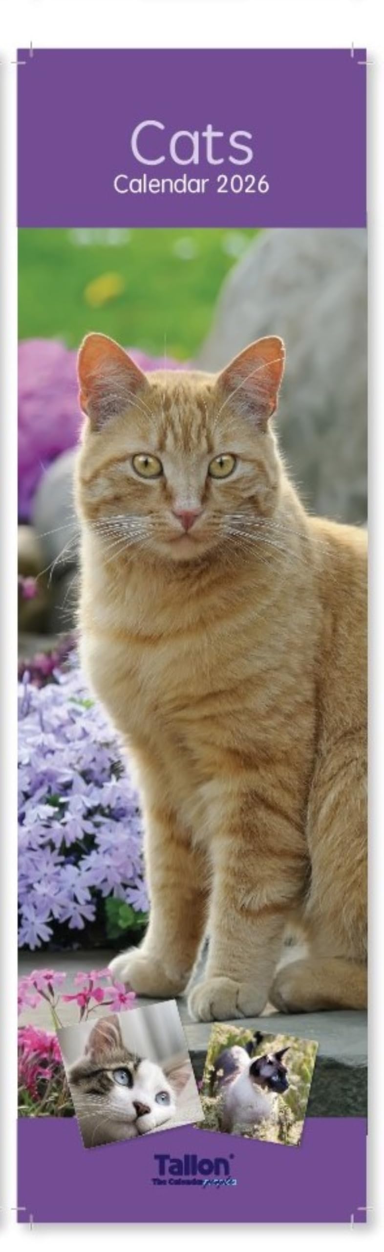 2026 Super Slim Month To View Spiral Bound Photo Wall Calendar (Cats)