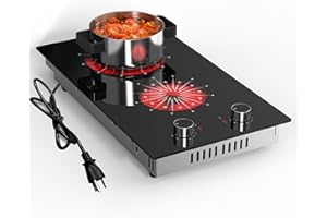 Disaenvir 2 Burner Electric Cooktop - 12 Inch Electric Stove Built-in & Countertop, 120V Portable Two Burners Electrical Stovetop with Knob Control, Over Heat Protection, 9 Power Level, 110V Plug in