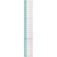 Clover Graphic Ruler 30cm CL7702, Bunt