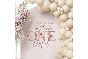 SANDOO Isnt She Lovely Isn't She Onederful Decal for Balloon Arch - Isn't She Onederful Birthday Decorations, Isnt She Onederful First Birthday Decorations,Stickers for Baby Girl 1st Birthday Party Backdrop