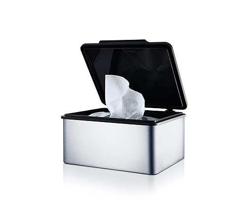 Blomus 68821 Feuchttücherbox Menoto, edelstahl matt