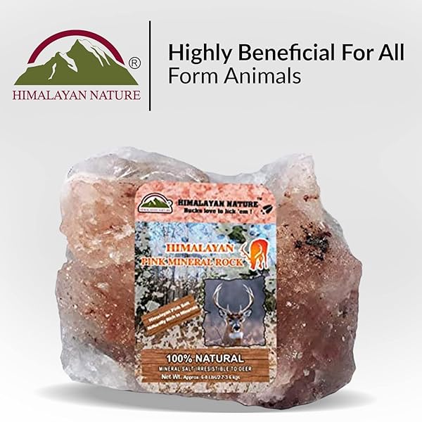 HIMALAYAN NATURE ANIMAL LICKING PINK SALT ROCK LICK DEER| 5 POUND