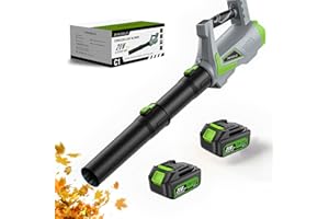 Leaf Blower Cordless, 650CFM/170MPH Leaf Blower with 2×4000mAh Batteries and Charger, PATOOLIO 5 Speed Mode Powerful Cordless