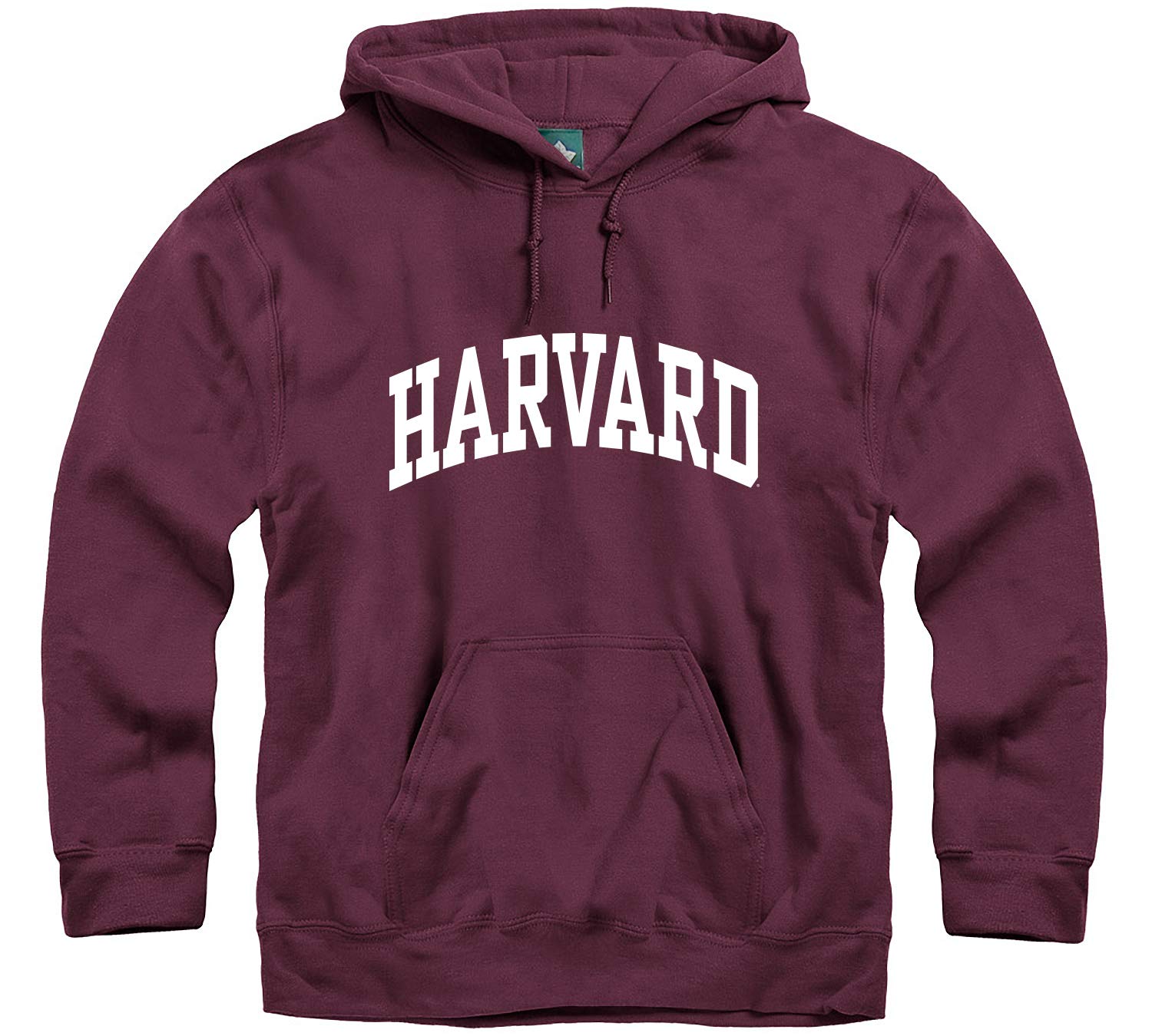 Best Youth Harvard Crest Hooded Sweatshirt