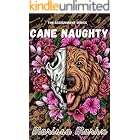 Cane Naughty: a dark college rom-com series (The assignment serie Book 2)