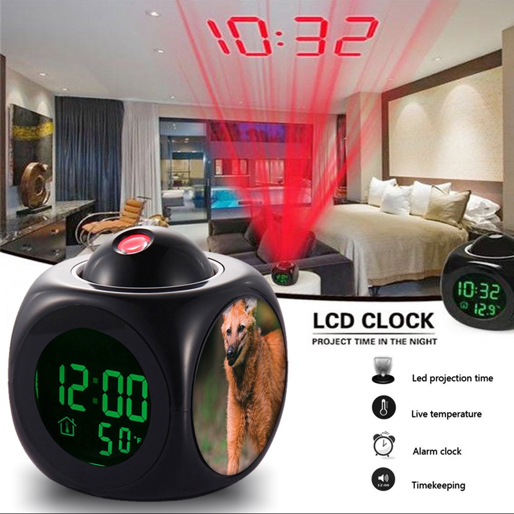 Girlsight Alarm Clock Multi Function Digital Lcd Voice Talking Led