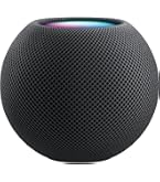 Amazon.com: Apple - HomePod mini - Space Gray : Electronics