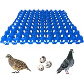 Hen's Choice 90 Egg Plastic Trays for Quail, Pigeon, Dove, Birds. Incubator Flat Carton (Blue, 6 Pack)