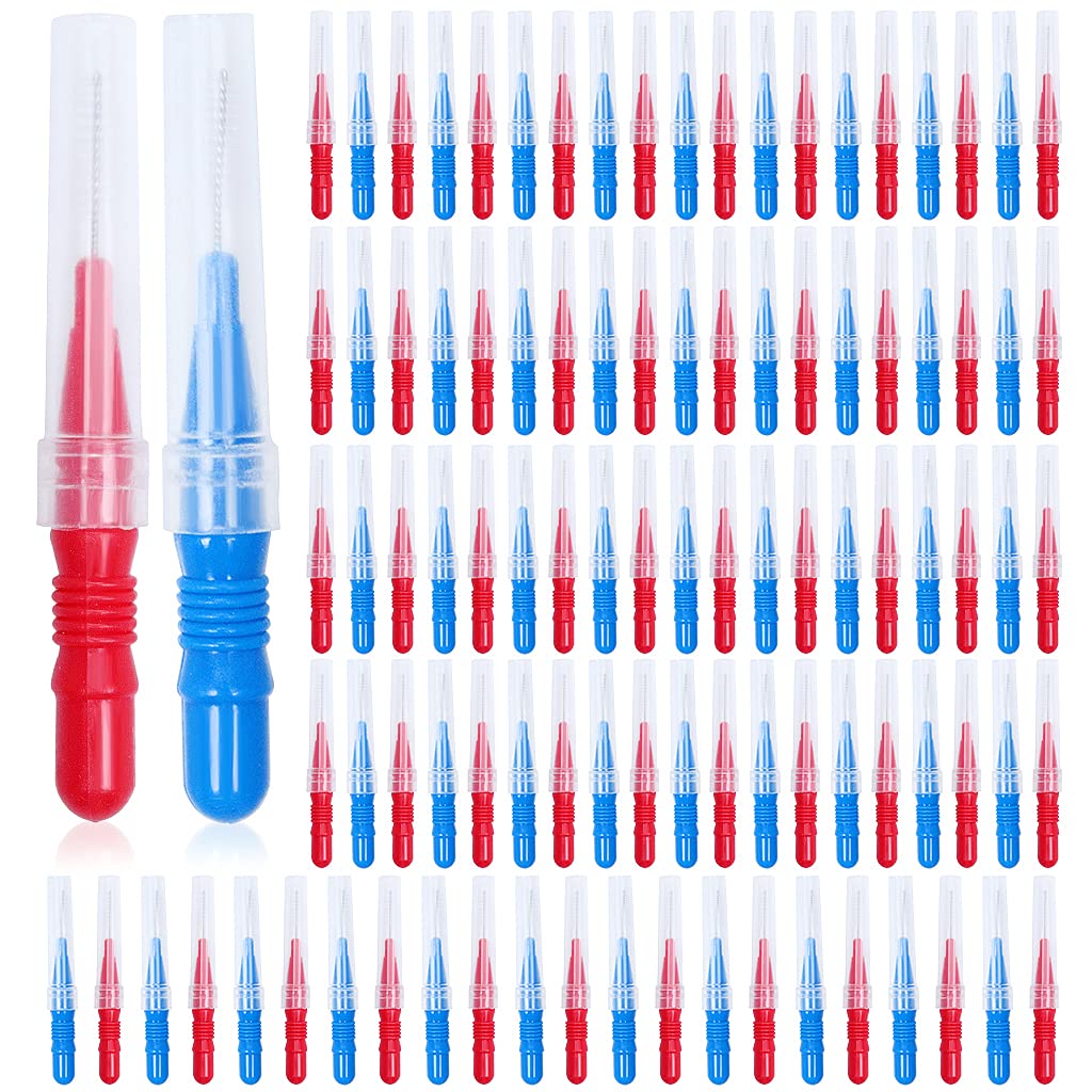 100 Pieces Interdental Brush, Toothpick Tooth Flossing Head Oral Dental Hygiene Brush Dental Brush Flosser for Cleaner Dental Floss Stick Tooth Cleaning Tool