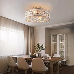 HUEOCZW 20" Caged Ceiling Fan with Light and