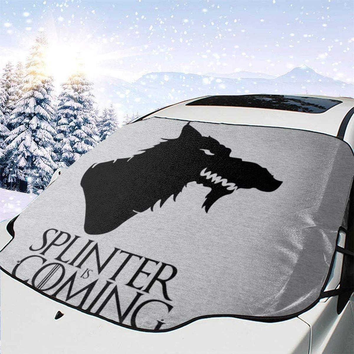 Which Is The Best Sun Shade Ninja Turtles