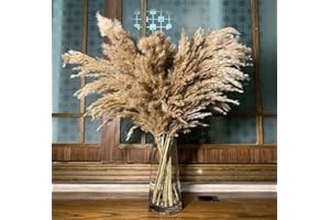 Chic Collezione Natural Bushy Pampa Set of 5 Stems 30 Inches Pampas Grass, Reed, Bunny Tails Natural Dried Grass Bulk Pampas 