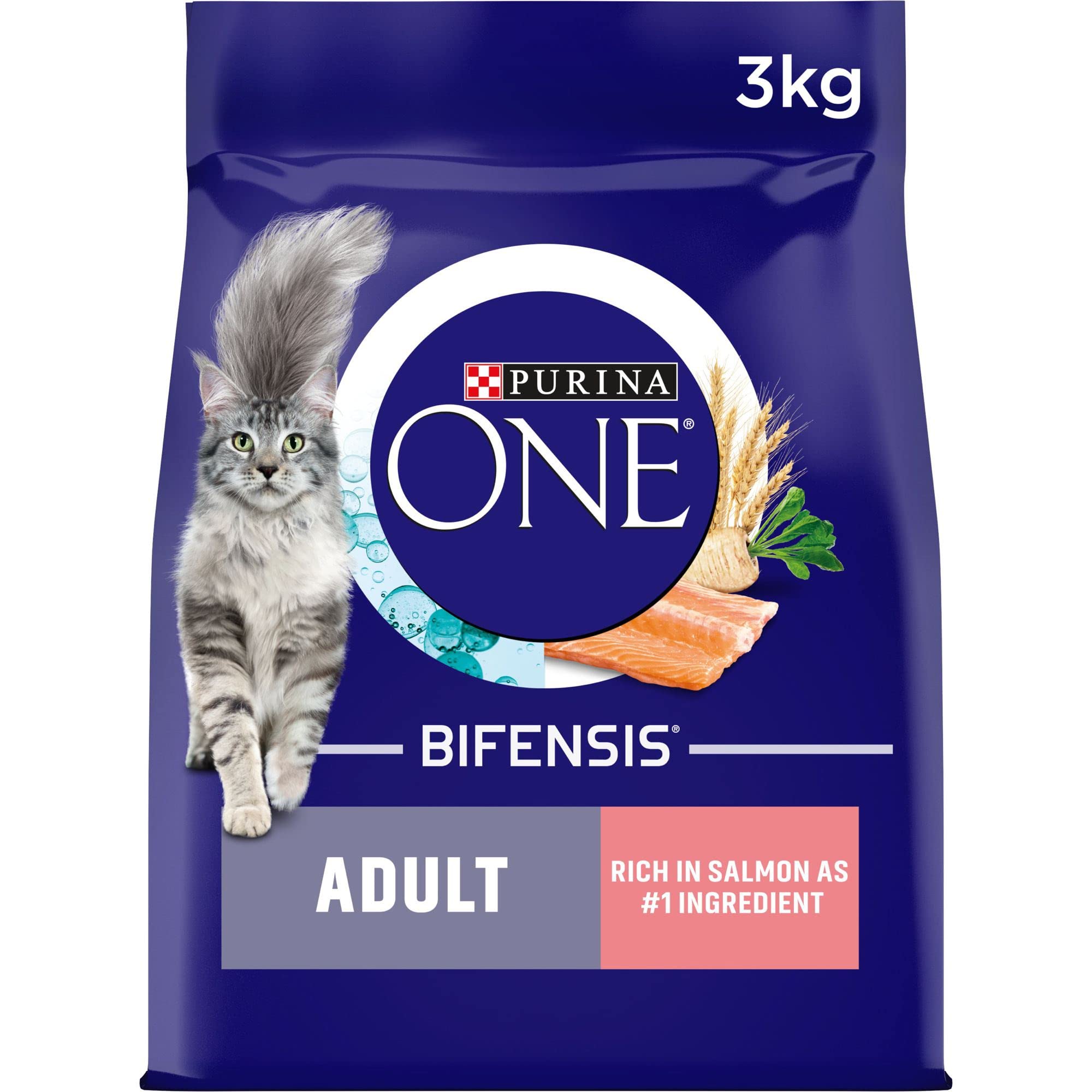 Purina ONE Adult Dry Cat Food Salmon & Wholegrain 3kg
