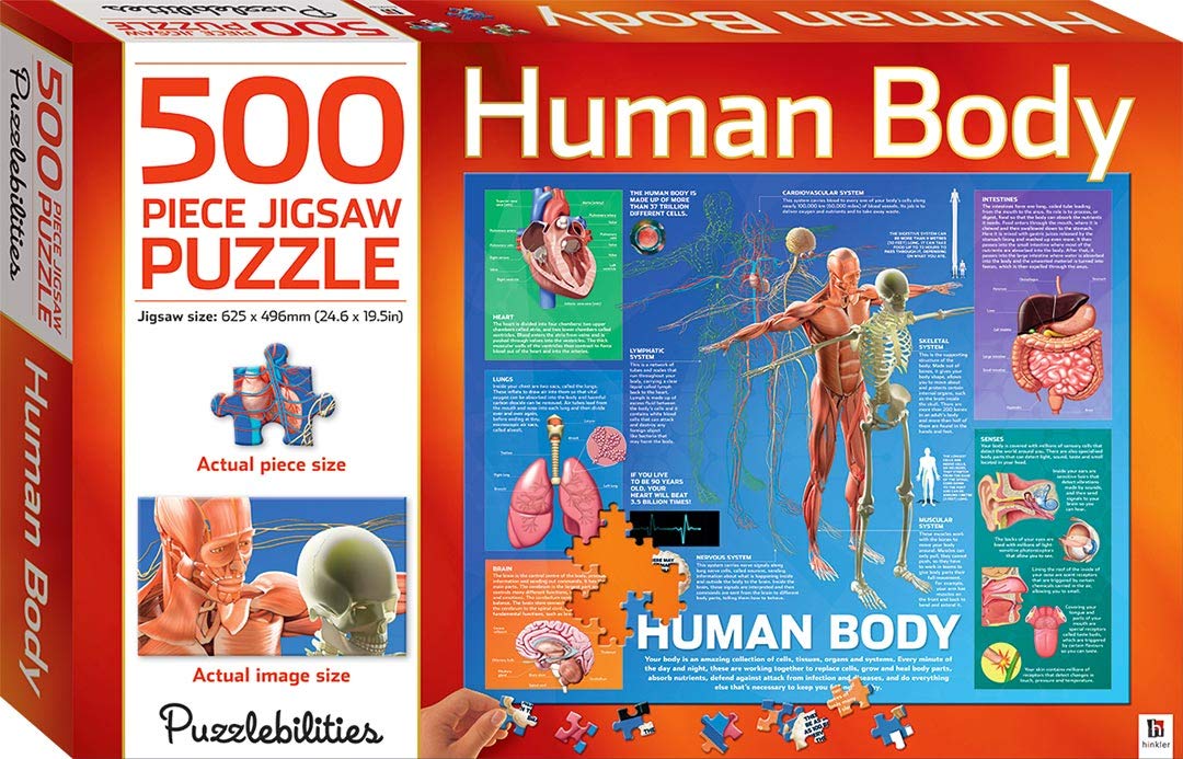 Puzzlebilities 500-Piece Jigsaw Puzzles for Children - Home Learning Educational Jigsaw (Human Body)