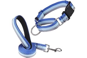 ESGPET Martingale Dog Collar and Leash Set for Walking, Playing, Training, Reflective Adjustable Puppy Collars with Leash for Small Medium Large Dogs (Blue,Medium)