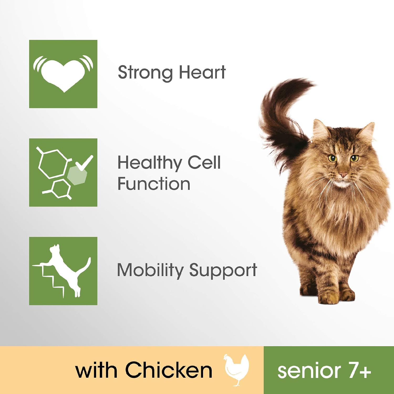 Perfect Fit Senior 7+ - Complete Dry Food for Senior Cats from 7 Years Old, Rich in Chicken, 3 Packs of 750 g - Image 4