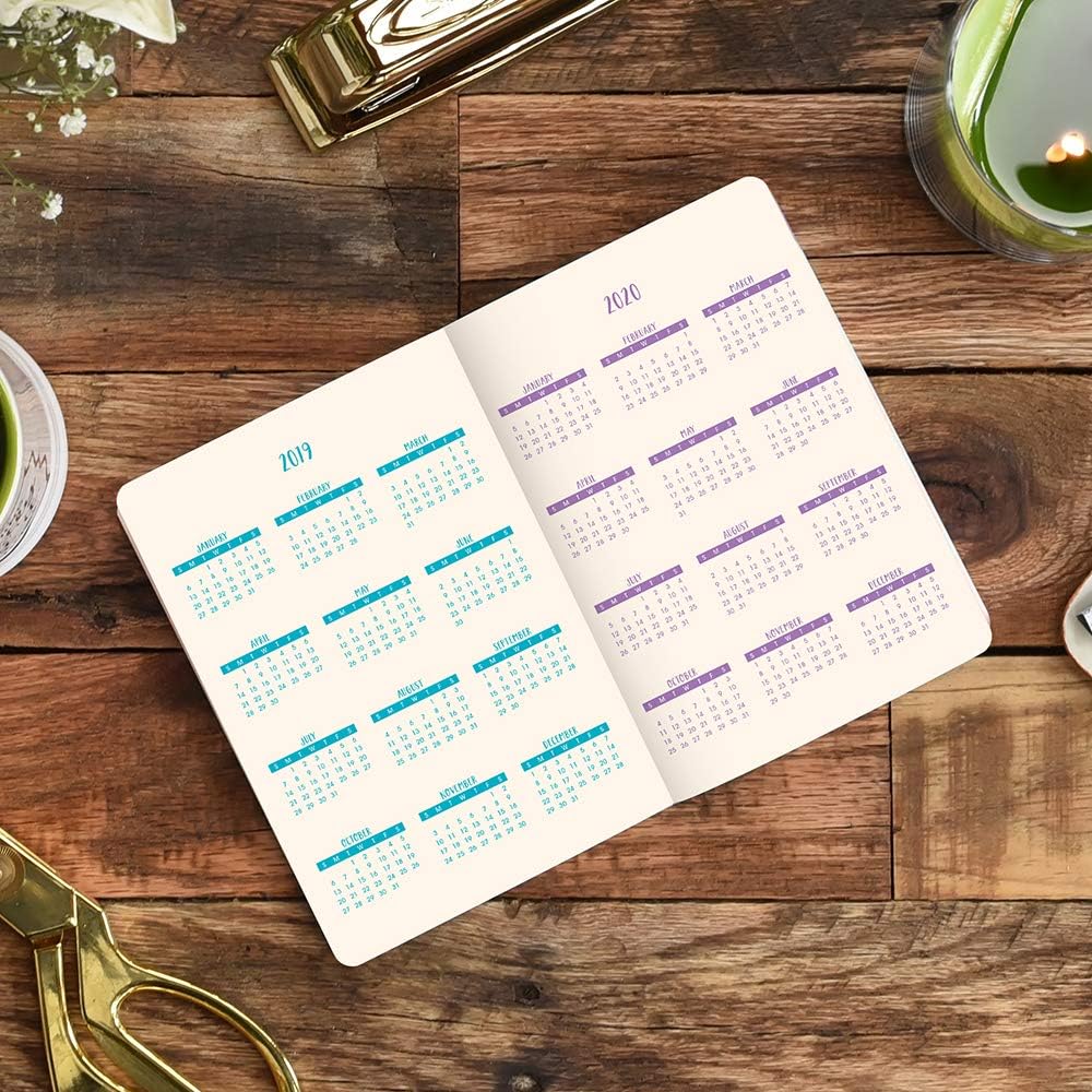 Orange Circle Studio 2020 Monthly Pocket Planner, Bold Blossoms : Office Products