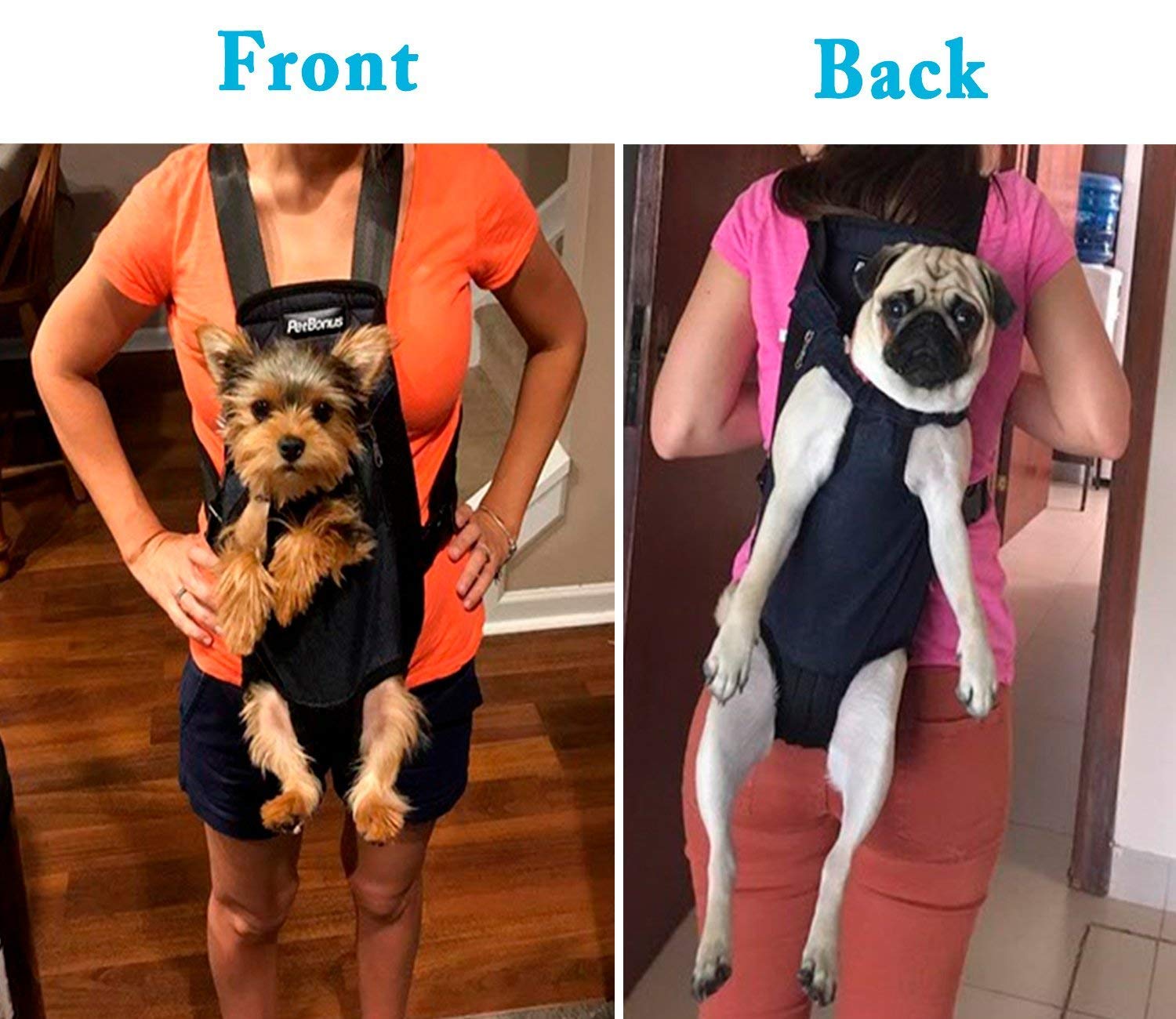 dog kangaroo carrier