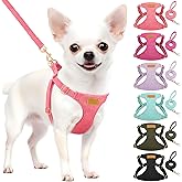 Lukovee No Pull Small Dog Harness with Leash - Lightweight Soft Puppy Vest Harnesses, Adjustable Pet Harnesses for Puppy Small Dogs (Pink, XXS)
