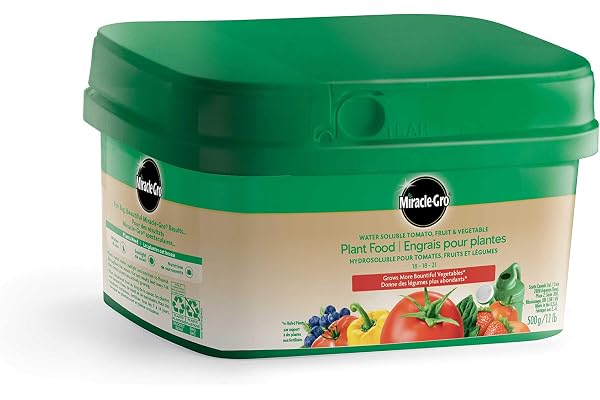 Miracle-Gro Water Soluble Tomato, Fruit & Vegetable Plant Food, 500g | Grows More Bountiful Produce Instantly | For Garden &