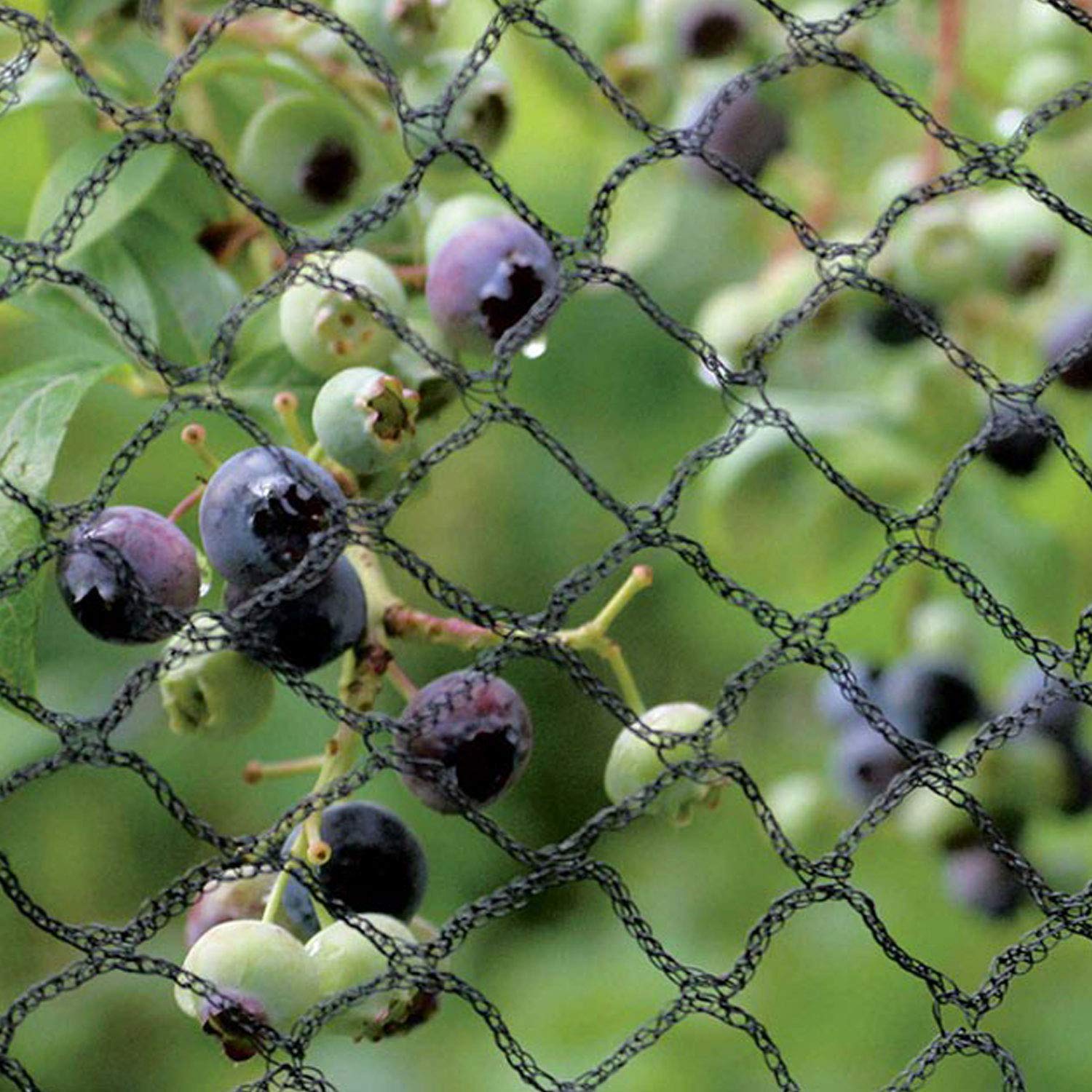 Tech-Garden - 2 m x 3 m - Anti Bird Netting for Heavy Duty Ponds Fruit Trees Crop Plants Vegetables & Bushes. Strong, Black Professional Grade Bird Proof Deterrent Prevention Mesh