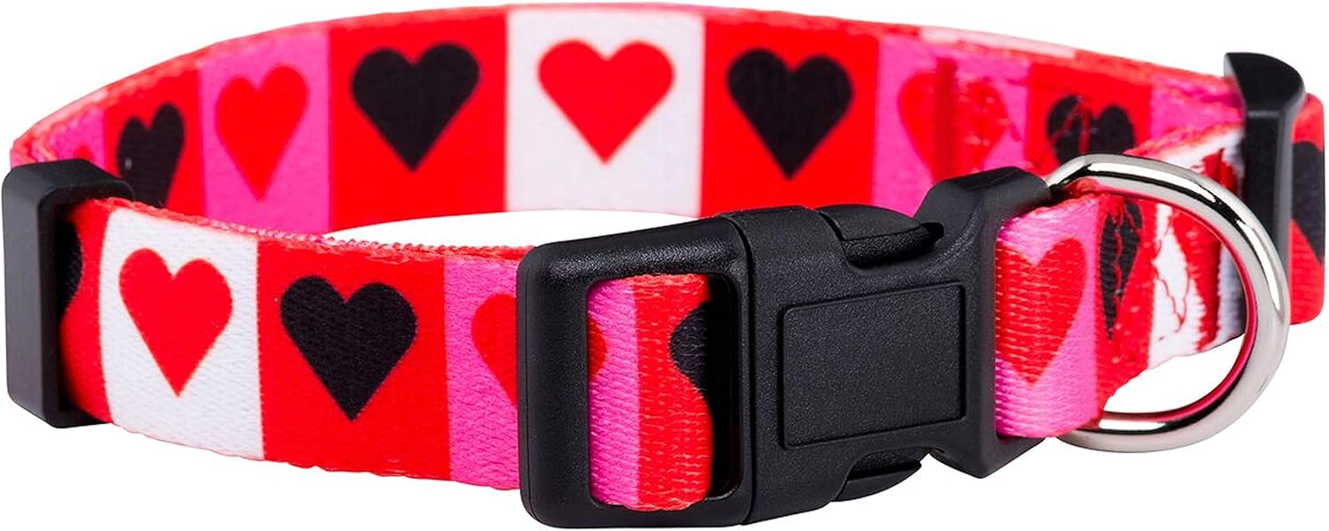 valentines dog collar