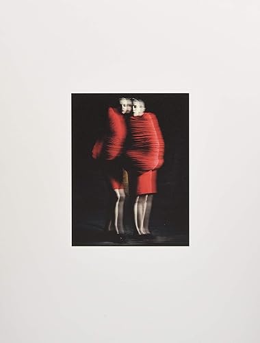 Download Rei Kawakubo/Comme Des Garcons: Art of the In-Between PDF