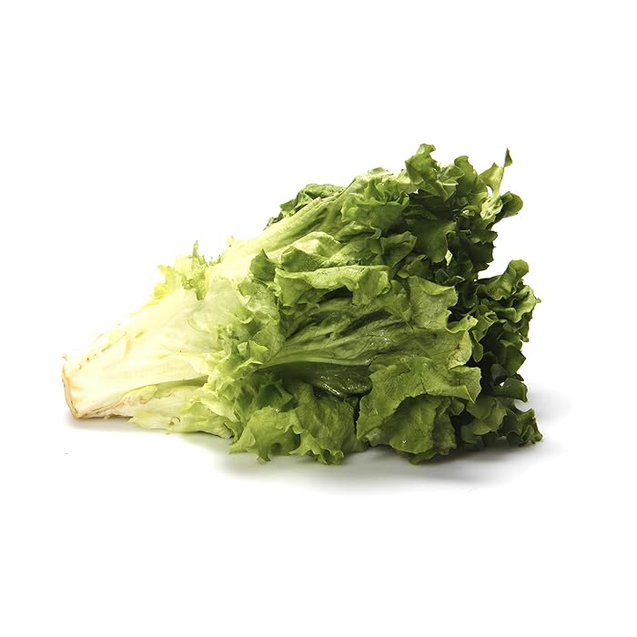 Top 10 Vitamin K Romaine Lettuce The Best Home