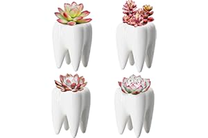 YOFIT Modern Style Teeth Pots Ceramic Flower Pot for Dental Gifts, White Succulent Cactus Bonsai Planter Container for Dental Office Decor, 3.7" Set of 4