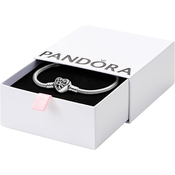 Amazon.com: PANDORA Moments Sparkling Infinity Heart Clasp Snake