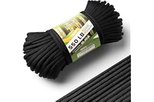FETEFEST Paracord 550 Black, Parachute Cord Mil-Spec 100FT, 100% Nylon Rope in Survival Gear and Equipment, Heavy Duty Rope for Bracelet, Leashes, Lanyards and Camping (Black, 100FT. Coiled in Bag)