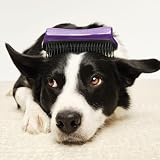 Pet Teezer Large Deshedding Grooming Brush Purple Grey for Dogs view 7