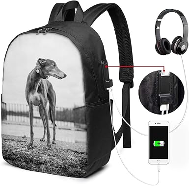 little miracles lamb costco