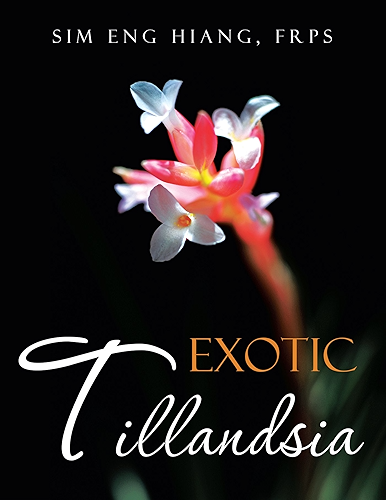 Download Exotic Tillandsia (English Edition) PDF