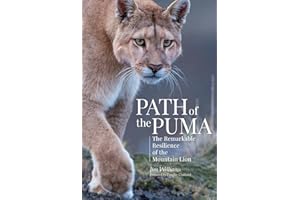 Path of the Puma: The Remarkable Resilience of the Mountain Lion