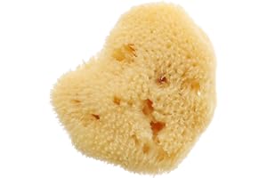 Healeved Natural Sea Sponge Painting Tools 1.5-2.0 Inch Random Shape Art Sponges for Watercolor Graffiti DIY