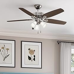 Hunter Fan Company Hunter Indoor Ceiling Fan, with