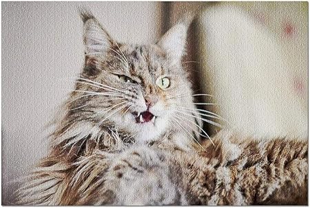 Amazon Co Jp Hd大理石の毛皮メインクーン猫クローズアップ面白い顔を作る 52 38cmプレミアム500ピースジグソーパズル アメリカ製 おもちゃ