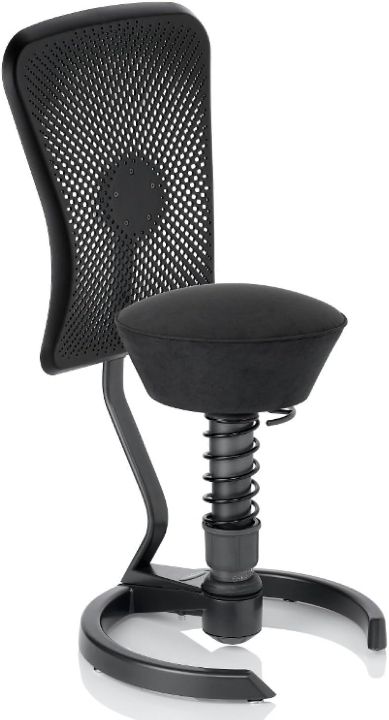 Swopper Lehne Dynamic Fur Gleiter Fussring Ruckenstab Anthrazit Lehne Schwarz Amazon De Kuche Haushalt