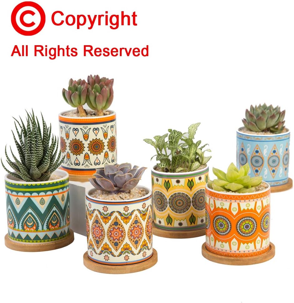 AlpsPro Succulent Plant Pots - 3.5 inch Ceramic Succulent Planter - Small Cylinder Flower Pots for Cactus with Drainage Hole and Bamboo Tray : Garden & Outdoor