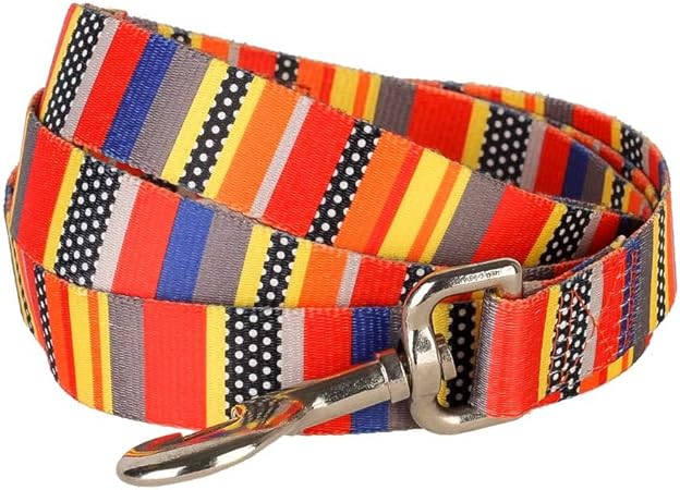 designer dog collars and leashes