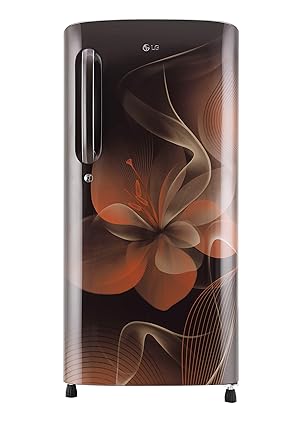 LG 190 L 4 Star Inverter Direct-Cool Single-Door Refrigerator (GL-B201AHDX, Hazel Dazzle)