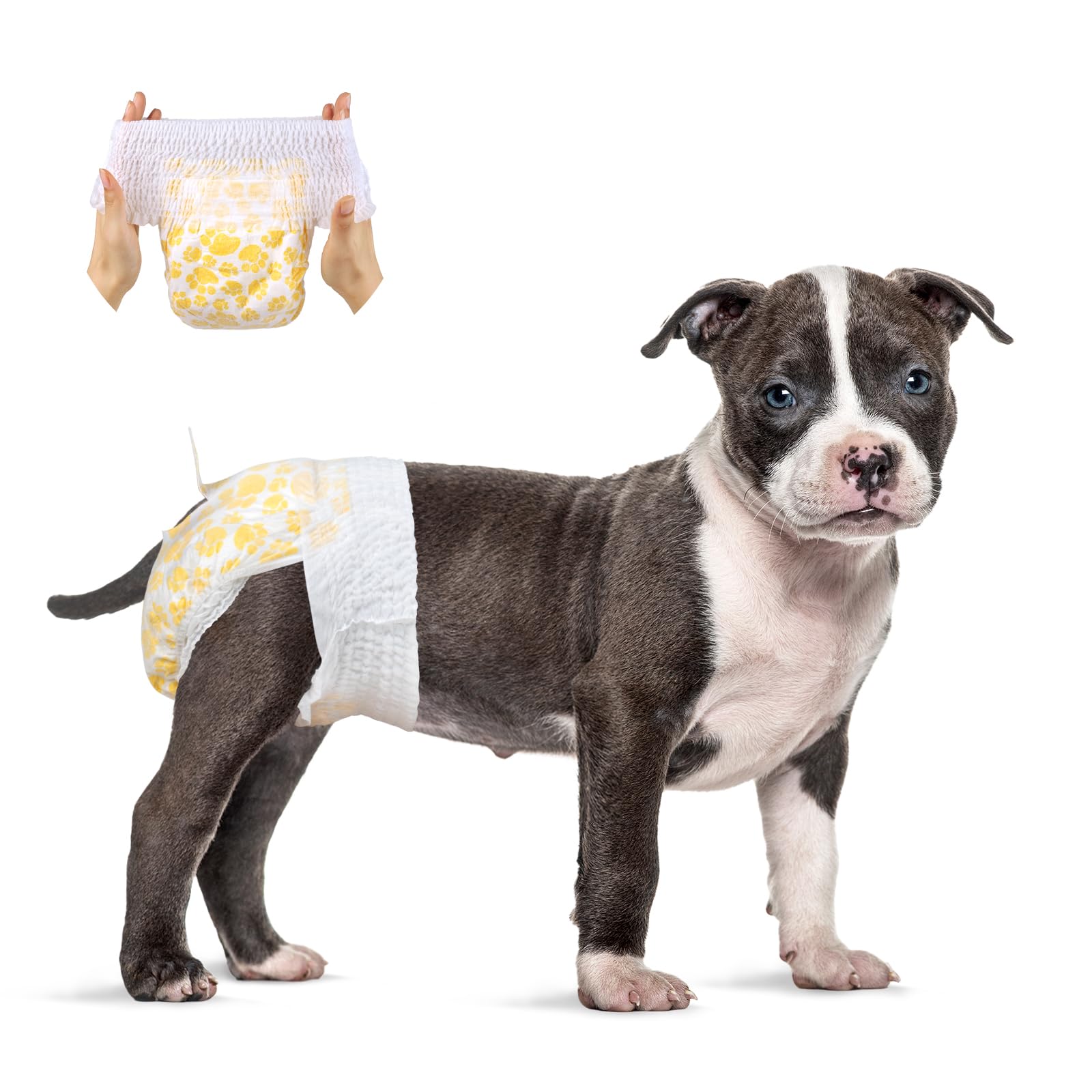 Flying Paws Dog Nappies Female, M-15 Pull-Up Disposable Dog Diapers, 360 Stretchy Waistband Female Nappies, Fits Waist 28-44 cm Medium Nappies for in Heat, Period, Incontinence, Training