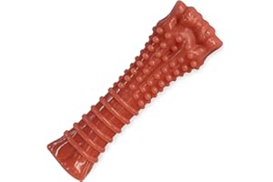 Nylabone Power Chew DuraChew Bacon Bone Dog Chew Toy, X-Large