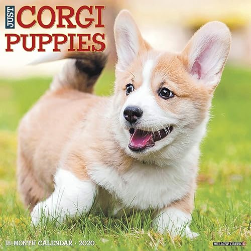Download Just Corgi Puppies 2020 Calendar PDF