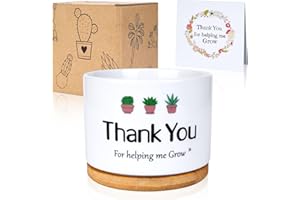 TRULLOYOO Teacher Appreciation Gifts Set, Succulent Plant Pot, Teacher Week Present from Student, Best Birthday Valentine Retirement Thank You Gift for Teacher, Mother & Boss, Thank You for Helping Me Grow