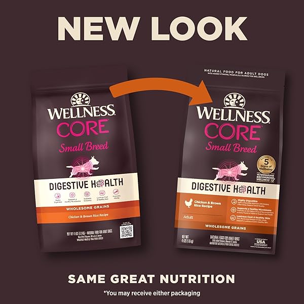 WELLNESS CORE DIGESTIVE HEALTH SMALL BREED ADULT DRY DOG FOOD, WHOLESOME GRAIN KIBBLE, SENSITIVE STOMACH, NATURAL, HIGH PROTEIN, CHICKEN RECIPE, 4 LB BAG