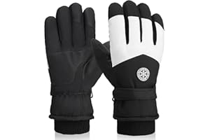 Pleneal Winter Ski Gloves Women Men, Windproof Waterproof Gloves with Warm Touchscreen Thermal Lining Anti-Slip for Work Cycling Motorcycle Snowboarding