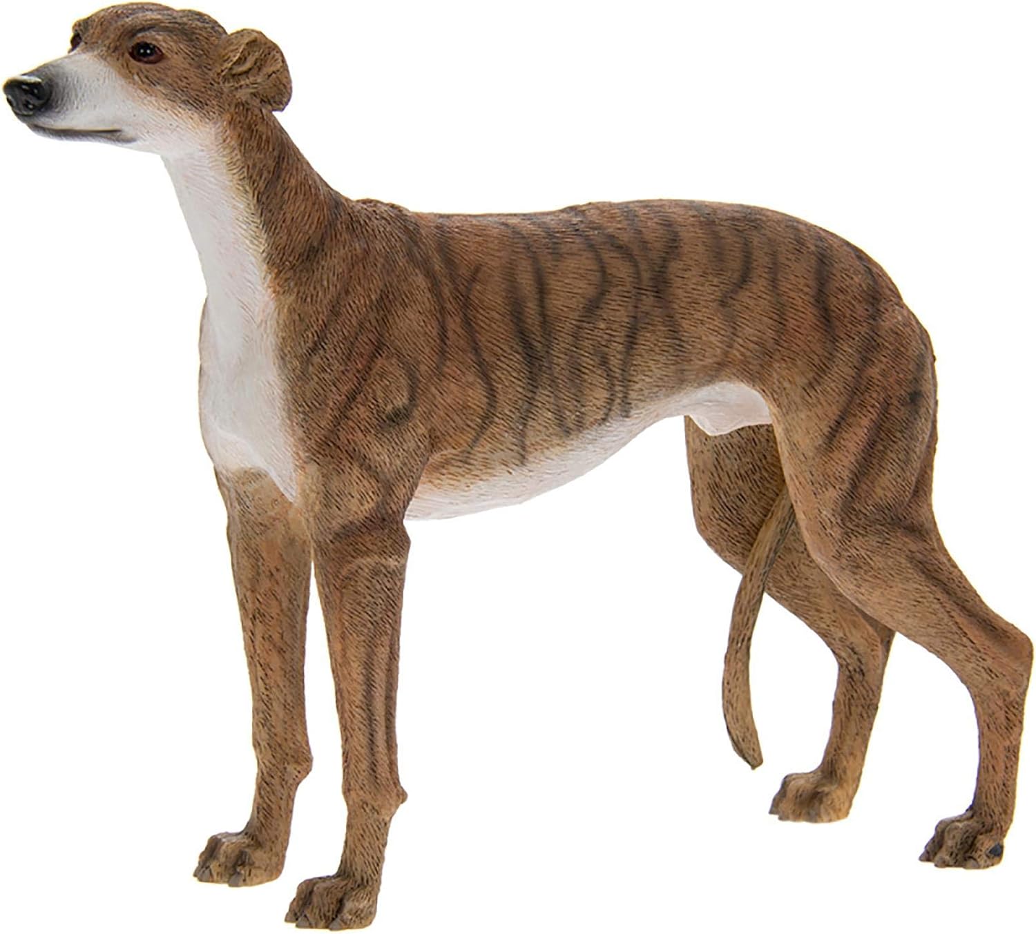 greyhound brindle